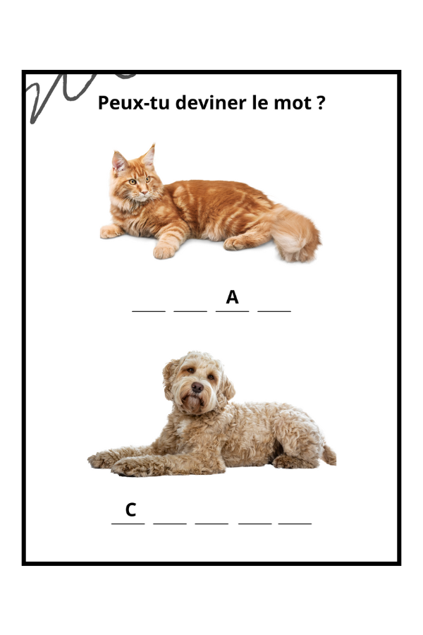 Jeux et Activités pour Seniors: Activités simples pour les adultes âgés souffrant de troubles Cognitifs, de Démence ou de la maladie d'Alzheimer