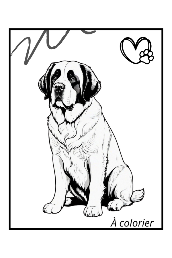 Jeux et Activités pour Seniors: Activités simples pour les adultes âgés souffrant de troubles Cognitifs, de Démence ou de la maladie d'Alzheimer