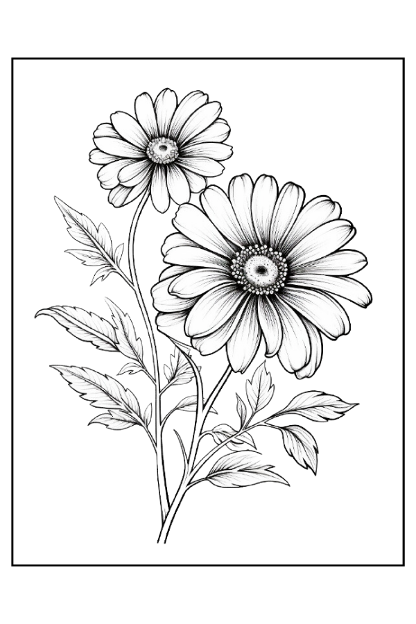 Bursts of flowers
