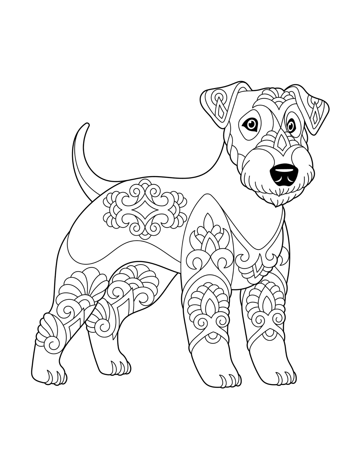 Jeux et Activités pour Retraités