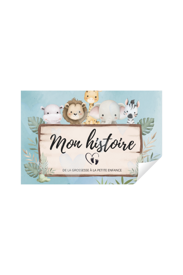 MON HISTOIRE : De la grossesse à la petite enfance